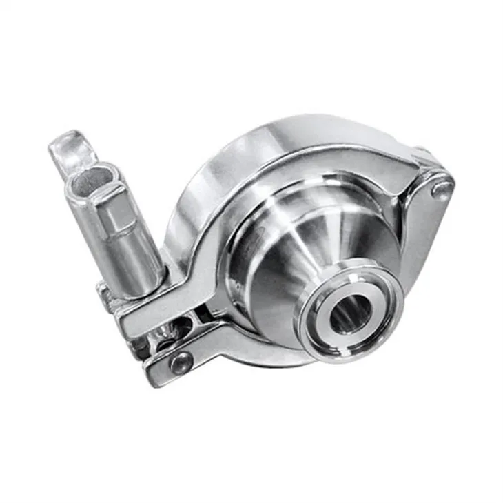 check valve (4)
